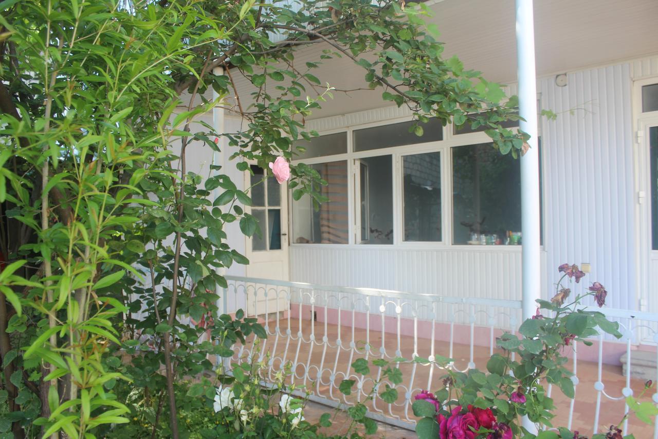 Canal Hostel Шекі Екстер'єр фото