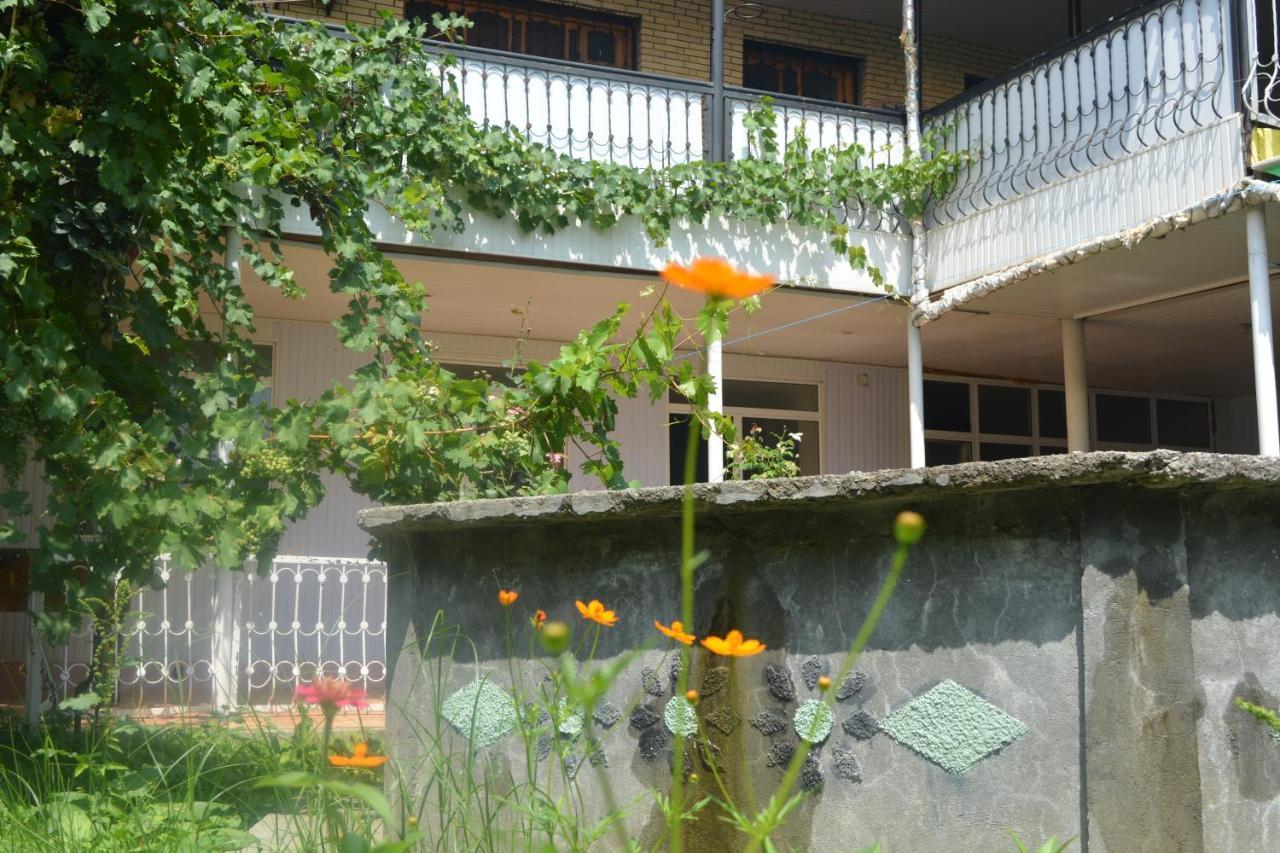 Canal Hostel Шекі Екстер'єр фото